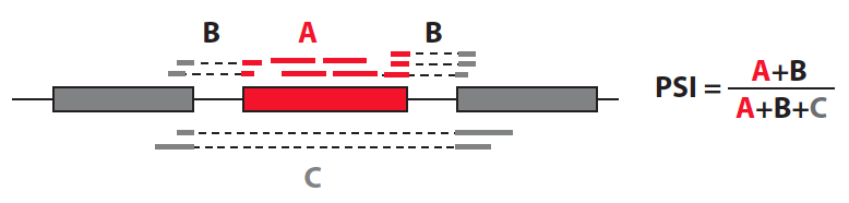 PSI method